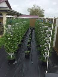 Vegetable Garden Ideas Mr Stacky