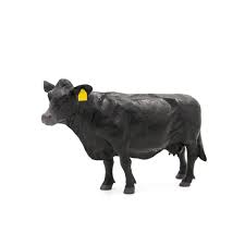 little buster toys angus cow