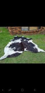 cow hide rug rugs carpets gumtree