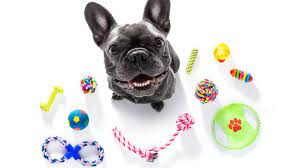 the 13 best toys for french bulldogs
