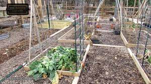 all about vegetable gardening taught in