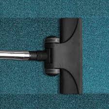 how to shoo your carpets including