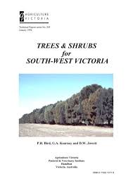 Shrubs For South West Victoria