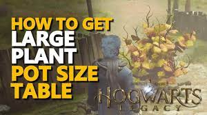 how to get large plant pot size table