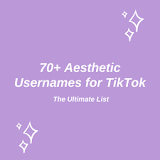What are aesthetic usernames for Tiktok?