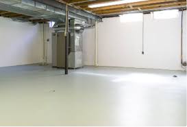 Basement mold is a widespread issue. How To Prevent Mold In Your Basement Got Mold