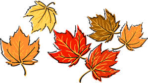 Image result for autumn leaves clipart