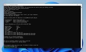 git on windows subsystem for linux