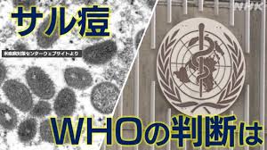 サル痘 は “PHEIC・公衆衛生上の緊急事態” か WHOの判断は | NHK