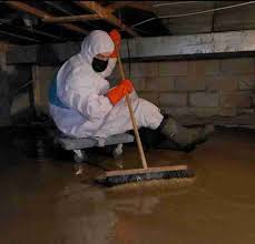 Flooded Basement Cleanup Repair