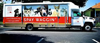 Check with your local veterinarian schools. Spay Neuter Days Massachusetts Humane Society Inc