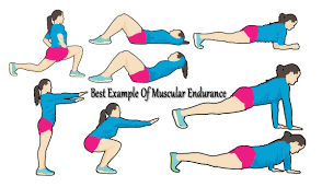 muscular endurance exercises exles