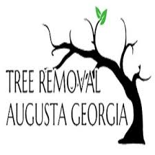 Augusta tree and lawn llc, stuarts draft, virginia. Augusta Tree Service Pros Augusta Ga Us 30904 Houzz