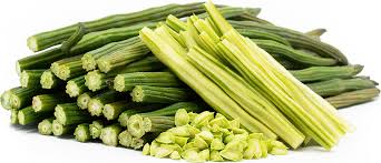drumstick moringa information and facts