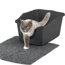 7 ways to reduce litter box smell