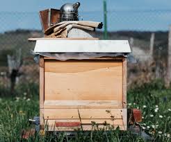 most buzzworthy gifts for beekeepers