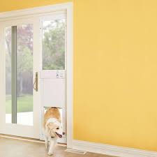 6 Best Smart Dog Doors Dog Door