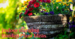 Hanging Garden Plant Ideas That Can