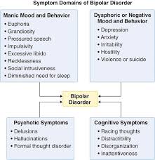 Describing Cognitive Domains In Individuals With Bipolar