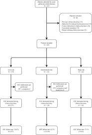 Flow Chart Ioc Intraoperative Cholangiogram Download