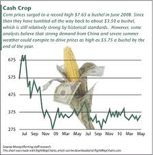 Can Corn Commodity Prices Make A Comeback The Market