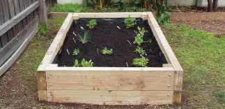 Make A Vege Garden Box