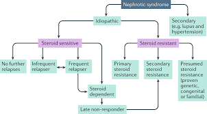 Molecular Stratification Of Idiopathic Nephrotic Syndrome