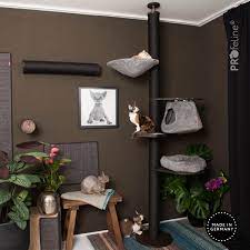 ceiling high cat tree with hanging cave