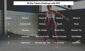 free 30 day tabata challenge with pdf