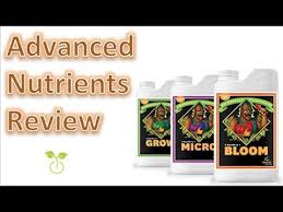 Advanced Nutrients Review Micro Grow Bloom