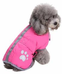 Best Dog Coats For Winter Top Picks To