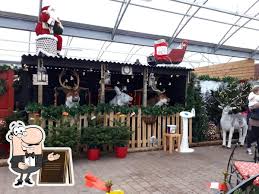 high legh garden centre in high legh