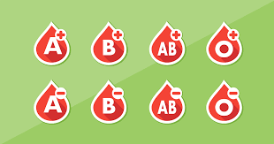Difference Between Genotype And Blood Group Definition