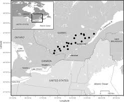 There is a chaotic pattern of lakes, rivers, and swamps because of debris left behind from the melting of the. Frontiers Impact Of Climate Change On Soil Hydro Climatic Conditions And Base Cations Weathering Rates In Forested Watersheds In Eastern Canada Forests And Global Change