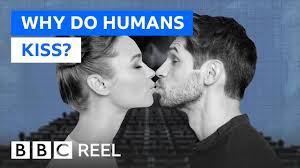 why do humans kiss bbc reel you