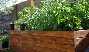 Using Pine Wood For Raised Garden Beds