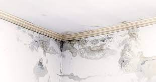 Tips To Prevent Water Seepage In Walls