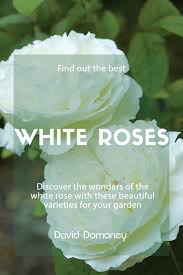 Types of white flowers names. The 14 Best Pure And Beautiful White Rose Varieties