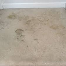 carpet cleaning yelp