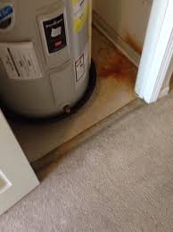 nasty stain on carpet what a dump