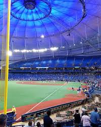 ta bay rays baseball bucket list