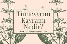 tüme-varım-nedir-örnek