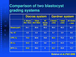 Culture System To Blastocyst Ppt Video Online Download