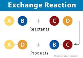 Exchange Reaction Definition And Example