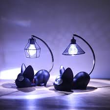 Funny Cat Night Lights Incredible Things