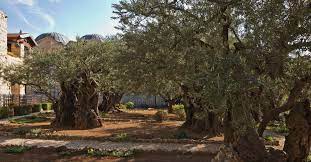 the garden of gethsemane and christ