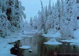 finlandia paisaje invernal postal circulada - Comprar Postales antiguas de  Europa en todocoleccion - 46480487