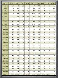24 Abiding Cavalier King Charles Spaniel Weight Chart