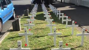 Memorial poppies, Eastbourne New Zealand