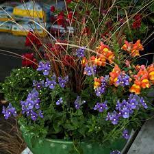Fall Planter Ideas For A Colorful Garden